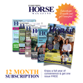 12 Month Subscription