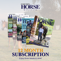 12 Month Subscription