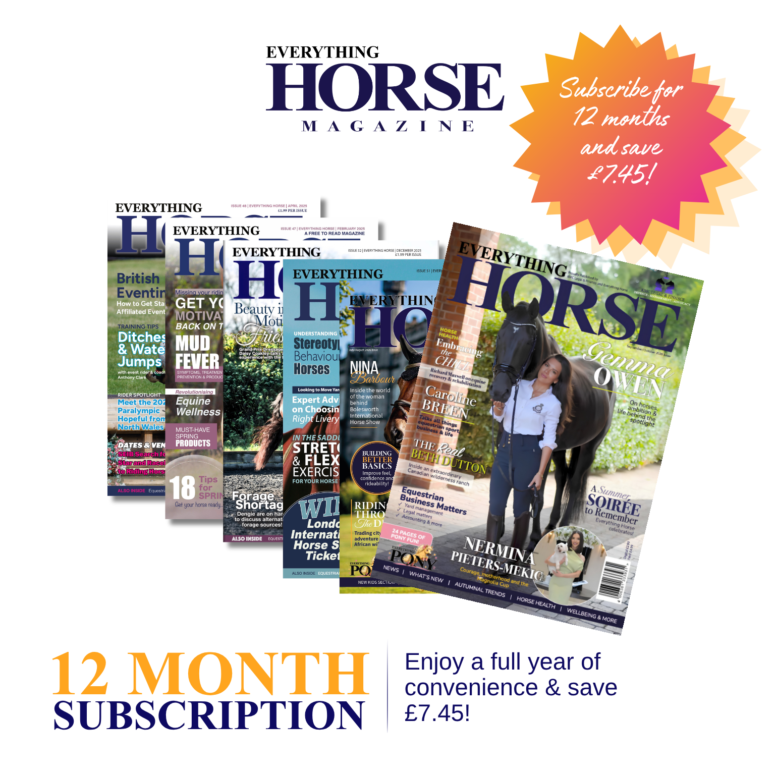 12 Month Subscription