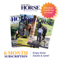 Six Month Subscription